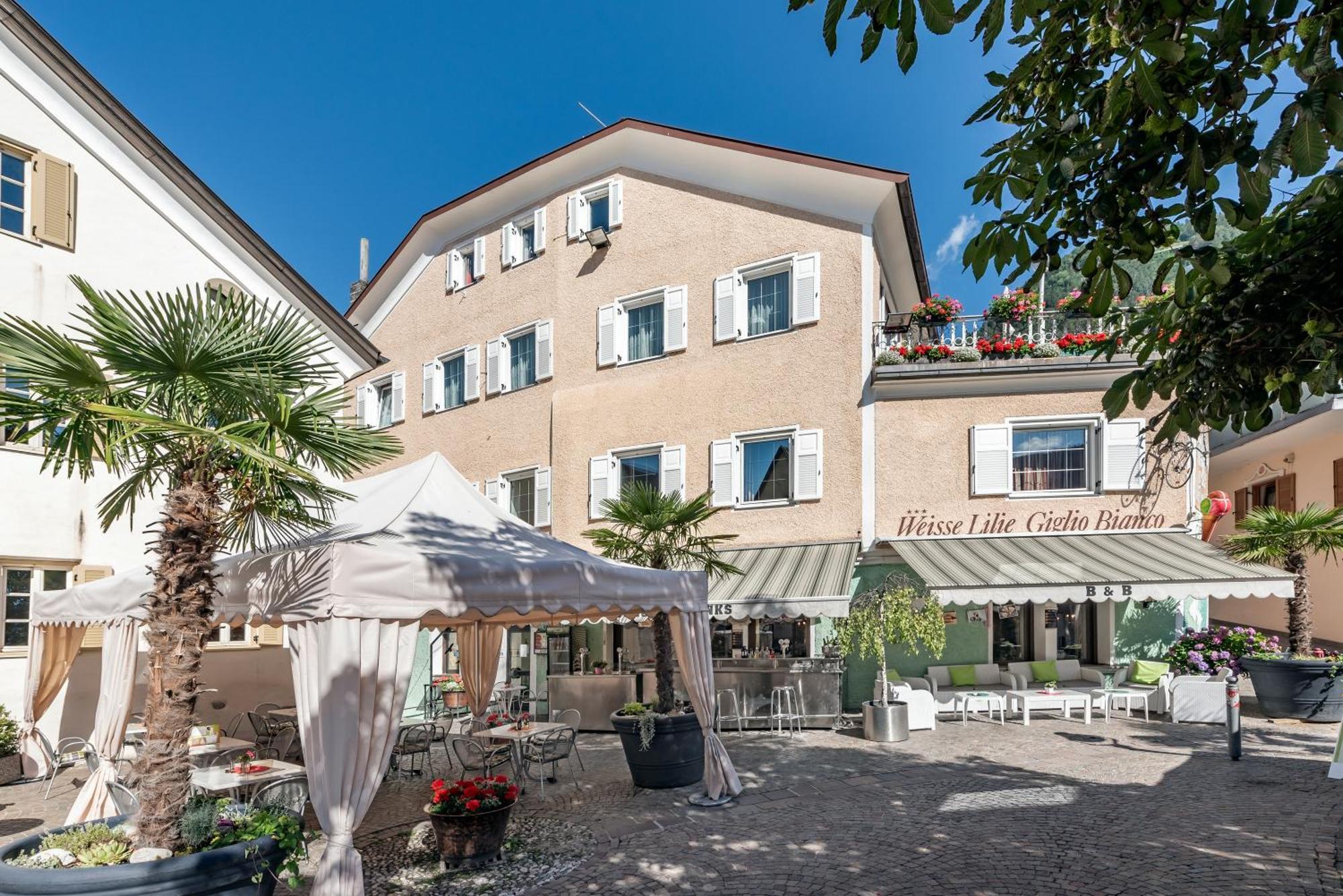 Rio di Pusteria Hotel Weisse Lilie - B&B חדר תמונה